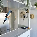 아파트 Chez Ginou Vue Imprenable Sur Le Canal Et La 팔라바 레 플로
