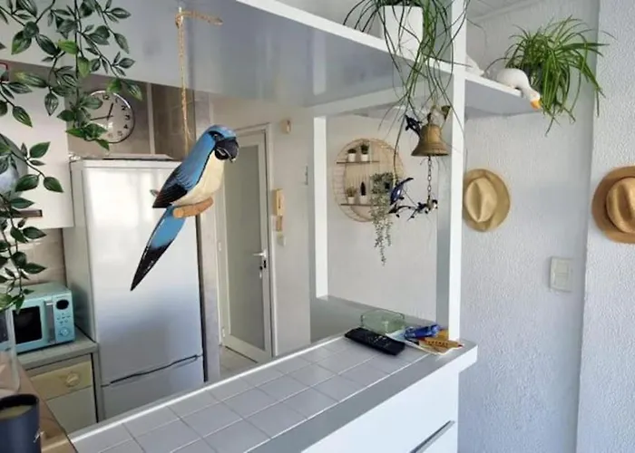 Apartment Chez Ginou Vue Imprenable Sur Le Canal Et La Palavas-les-Flots